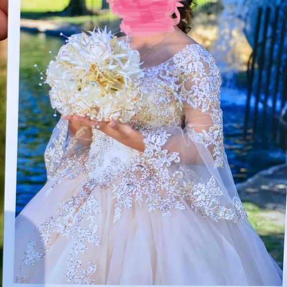 Quinceañera Dress - Picture 1 of 11